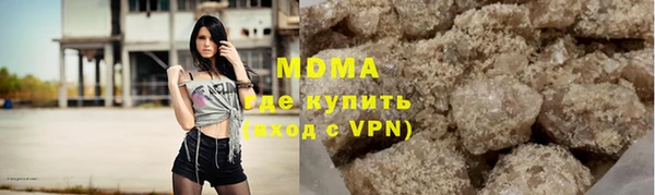 шишки Арсеньев