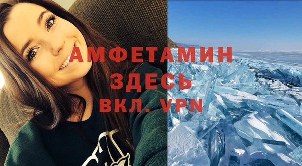 шишки Арсеньев
