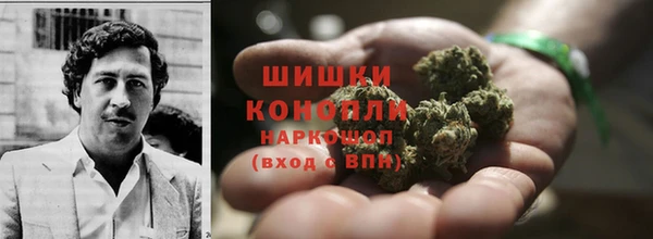 шишки Арсеньев