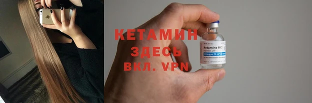 шишки Арсеньев