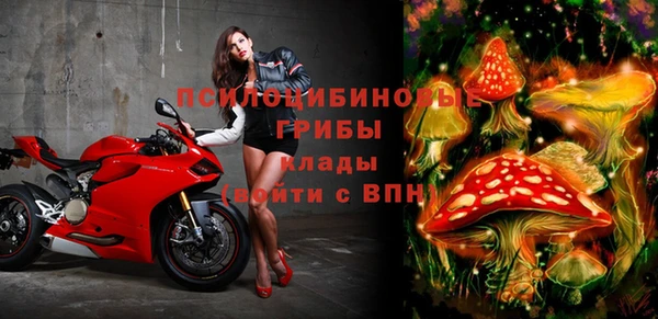 винт Аркадак