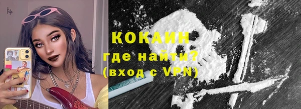шишки Арсеньев
