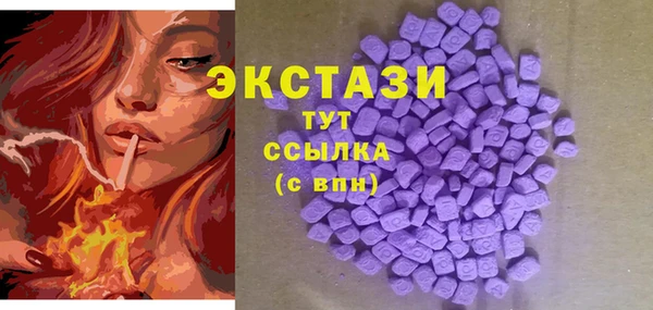 шишки Арсеньев