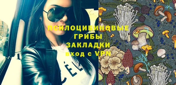 винт Аркадак