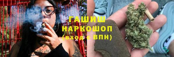 шишки Арсеньев