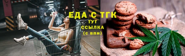 шишки Арсеньев