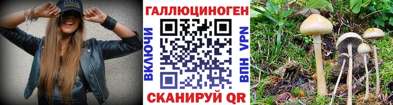 Псилоцибиновые грибы ЛСД  Полевской 